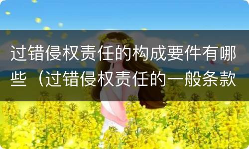 过错侵权责任的构成要件有哪些（过错侵权责任的一般条款）