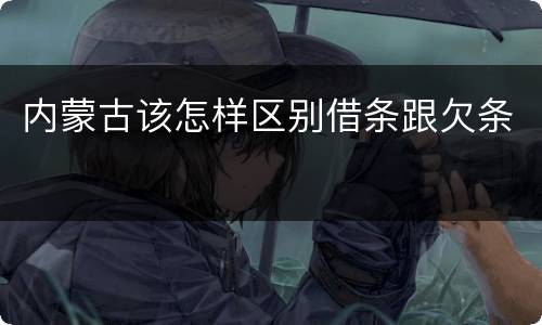 内蒙古该怎样区别借条跟欠条