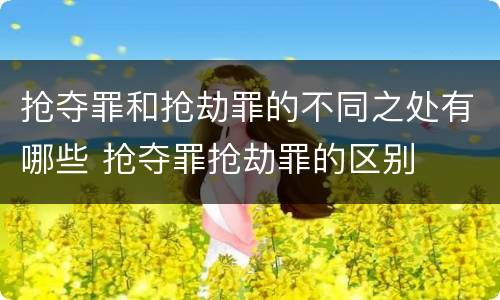 抢夺罪和抢劫罪的不同之处有哪些 抢夺罪抢劫罪的区别