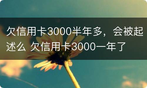 欠信用卡3000半年多，会被起述么 欠信用卡3000一年了