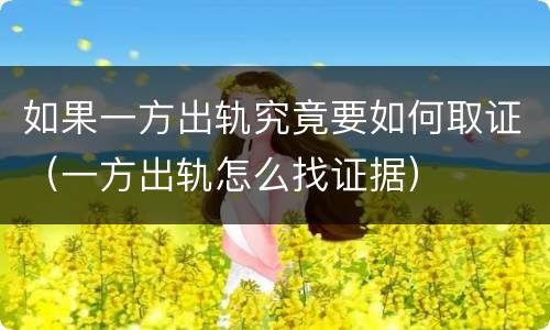 如果一方出轨究竟要如何取证（一方出轨怎么找证据）