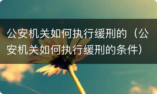 公安机关如何执行缓刑的（公安机关如何执行缓刑的条件）