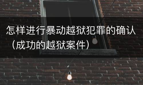 怎样进行暴动越狱犯罪的确认（成功的越狱案件）