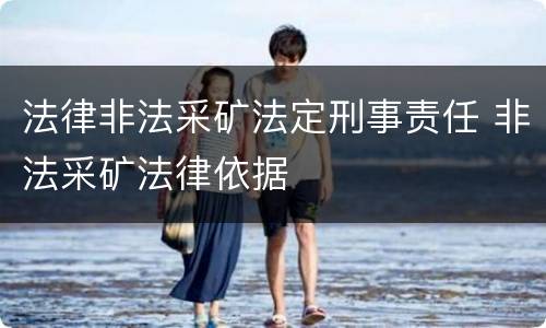 法律非法采矿法定刑事责任 非法采矿法律依据