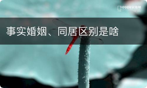 事实婚姻、同居区别是啥