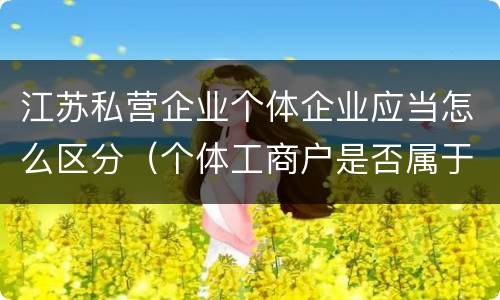 江苏私营企业个体企业应当怎么区分（个体工商户是否属于私营企业）
