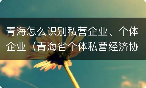 青海怎么识别私营企业、个体企业（青海省个体私营经济协会）