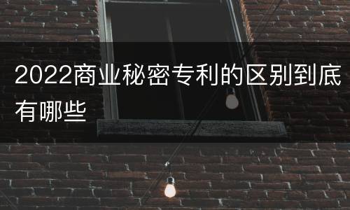 2022商业秘密专利的区别到底有哪些