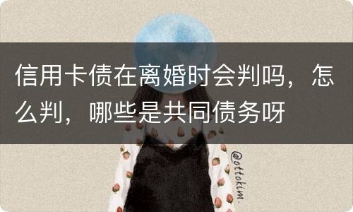 信用卡债在离婚时会判吗，怎么判，哪些是共同债务呀