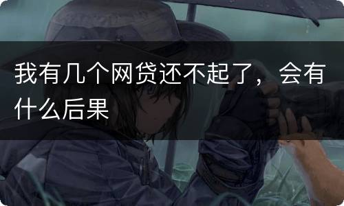 我有几个网贷还不起了，会有什么后果