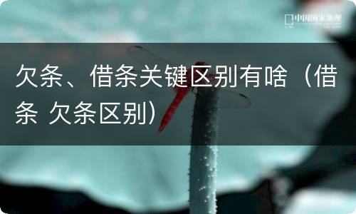 欠条、借条关键区别有啥（借条 欠条区别）