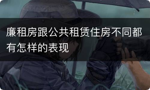 廉租房跟公共租赁住房不同都有怎样的表现