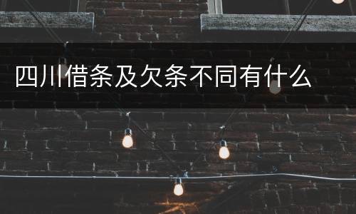 四川借条及欠条不同有什么