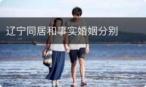 辽宁同居和事实婚姻分别