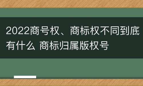 2022商号权、商标权不同到底有什么 商标归属版权号