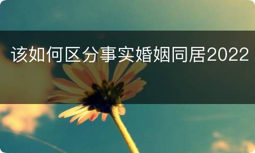 该如何区分事实婚姻同居2022