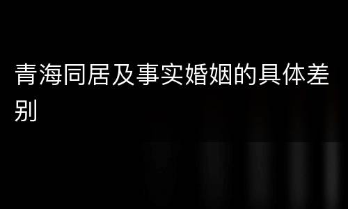 青海同居及事实婚姻的具体差别