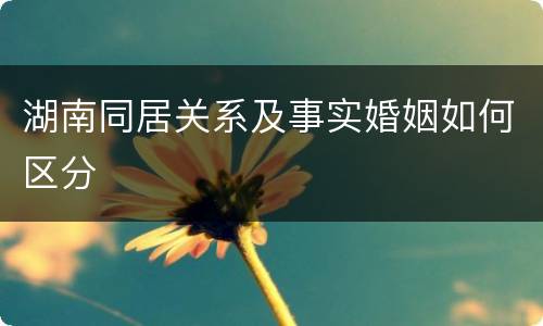 湖南同居关系及事实婚姻如何区分