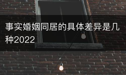 事实婚姻同居的具体差异是几种2022