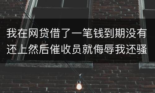 我在网贷借了一笔钱到期没有还上然后催收员就侮辱我还骚扰我朋友圈