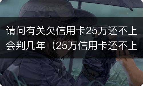 请问有关欠信用卡25万还不上会判几年（25万信用卡还不上怎么办）