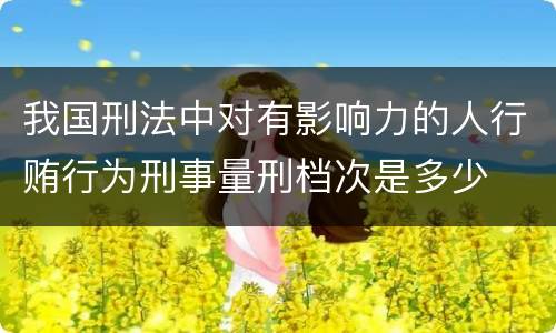 我国刑法中对有影响力的人行贿行为刑事量刑档次是多少