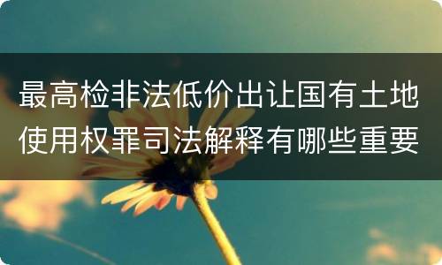 最高检非法低价出让国有土地使用权罪司法解释有哪些重要内容