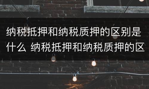 纳税抵押和纳税质押的区别是什么 纳税抵押和纳税质押的区别是什么意思