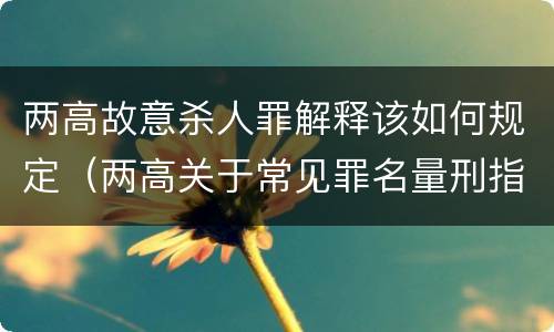 两高故意杀人罪解释该如何规定（两高关于常见罪名量刑指导）