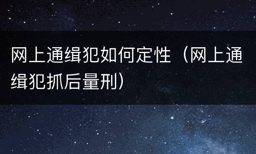 网上通缉犯如何定性（网上通缉犯抓后量刑）