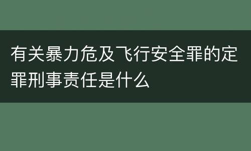 有关暴力危及飞行安全罪的定罪刑事责任是什么
