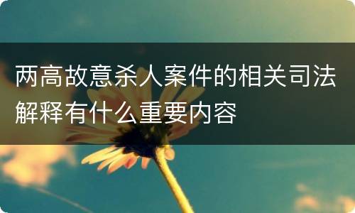 两高故意杀人案件的相关司法解释有什么重要内容