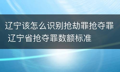 辽宁该怎么识别抢劫罪抢夺罪 辽宁省抢夺罪数额标准