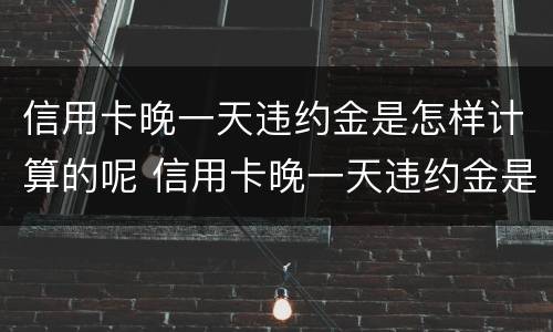 信用卡晚一天违约金是怎样计算的呢 信用卡晚一天违约金是怎样计算的呢怎么办