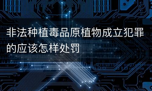 非法种植毒品原植物成立犯罪的应该怎样处罚