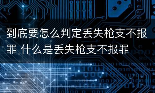 到底要怎么判定丢失枪支不报罪 什么是丢失枪支不报罪