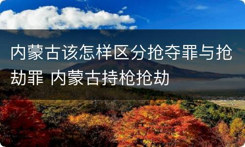 内蒙古该怎样区分抢夺罪与抢劫罪 内蒙古持枪抢劫