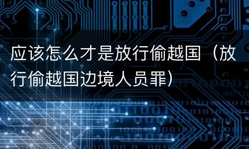 应该怎么才是放行偷越国（放行偷越国边境人员罪）