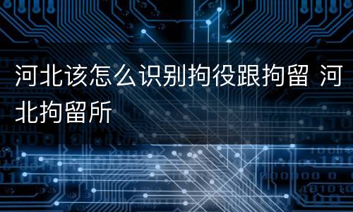 河北该怎么识别拘役跟拘留 河北拘留所