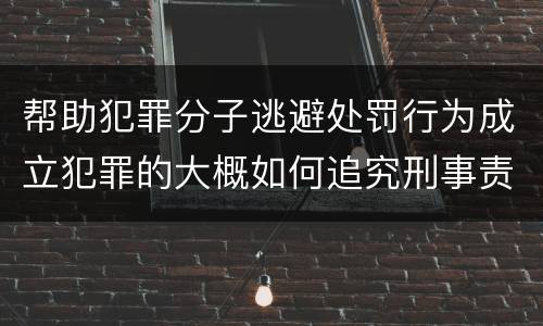 帮助犯罪分子逃避处罚行为成立犯罪的大概如何追究刑事责任