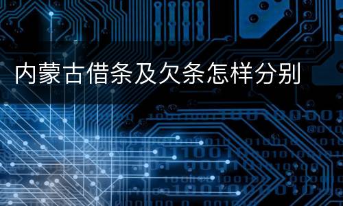 内蒙古借条及欠条怎样分别