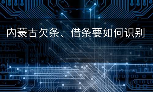 内蒙古欠条、借条要如何识别