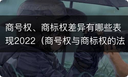 商号权、商标权差异有哪些表现2022（商号权与商标权的法律冲突与解决）