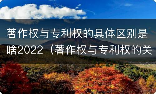 著作权与专利权的具体区别是啥2022（著作权与专利权的关系）