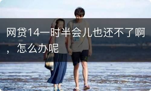 网贷14一时半会儿也还不了啊，怎么办呢