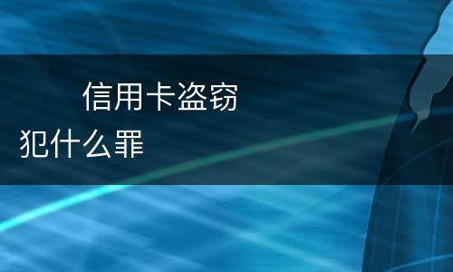　　信用卡盗窃犯什么罪