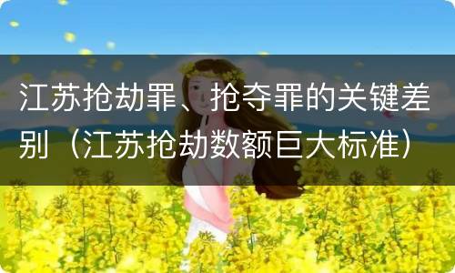 江苏抢劫罪、抢夺罪的关键差别（江苏抢劫数额巨大标准）