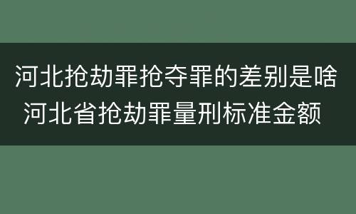 河北抢劫罪抢夺罪的差别是啥 河北省抢劫罪量刑标准金额