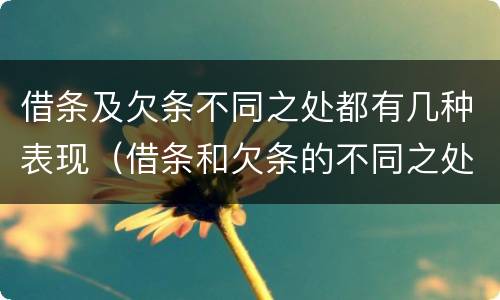 借条及欠条不同之处都有几种表现（借条和欠条的不同之处有哪些）