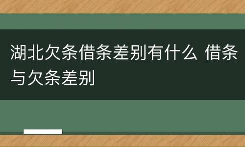湖北欠条借条差别有什么 借条与欠条差别